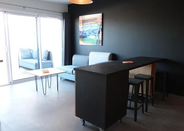 Pmr 2 Chambres, Face Plage, Piscine, Balcon, Pour 6 Personnes, Animaux Admis - Fr-1-194-222 Appartement