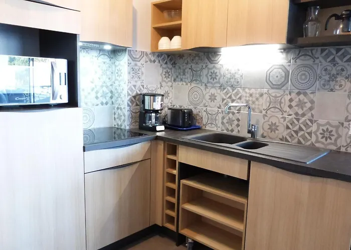 Appartement Pmr 2 Chambres, Face Plage, Piscine, Balcon, Pour 6 Personnes, Animaux Admis - Fr-1-194-222